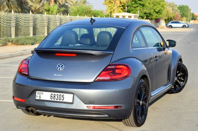 Grey Volkswagen Beetle 2018